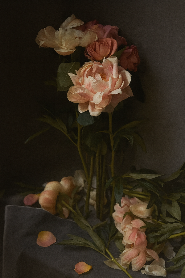 Quarantine Flowers Peonies III, London, England 2020