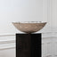 Willy Guhl Saucer Planter II