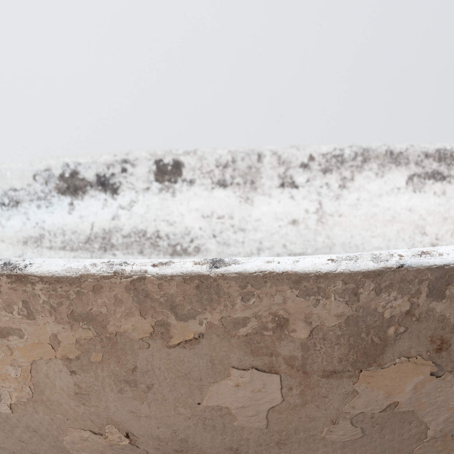 Willy Guhl Saucer Planter II