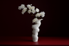 Vases & Vessels