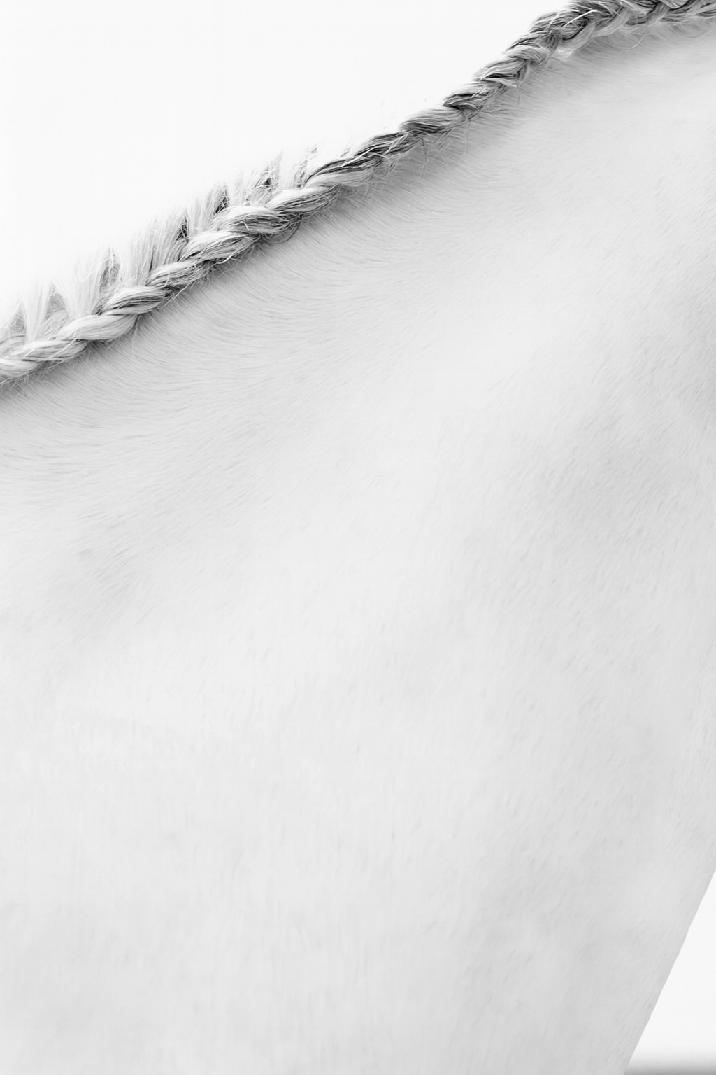 Braided Mane, East Hampton, NY 2011