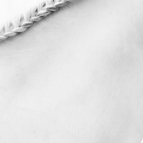 Braided Mane, East Hampton, NY 2011