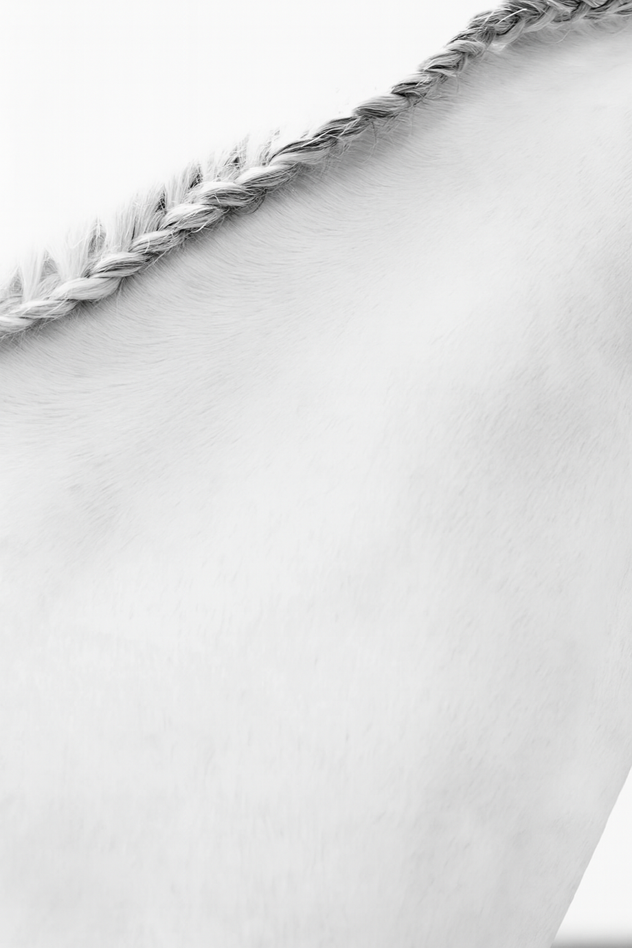 Braided Mane, East Hampton, NY 2011