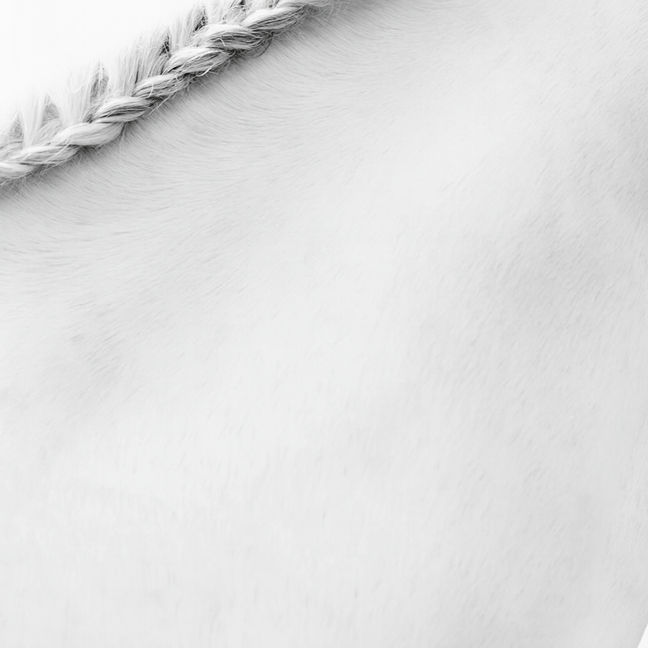Braided Mane, East Hampton, NY 2011