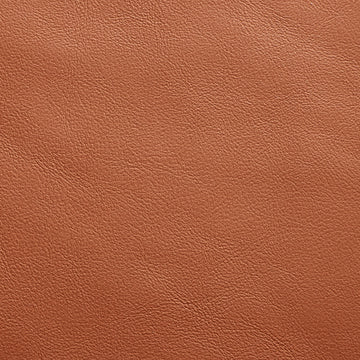  Diamond Leather 4170