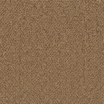 Elk Beige