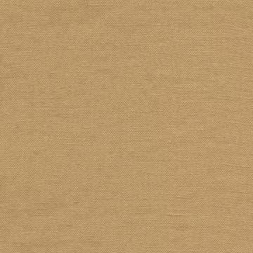 Halian 13 Camel