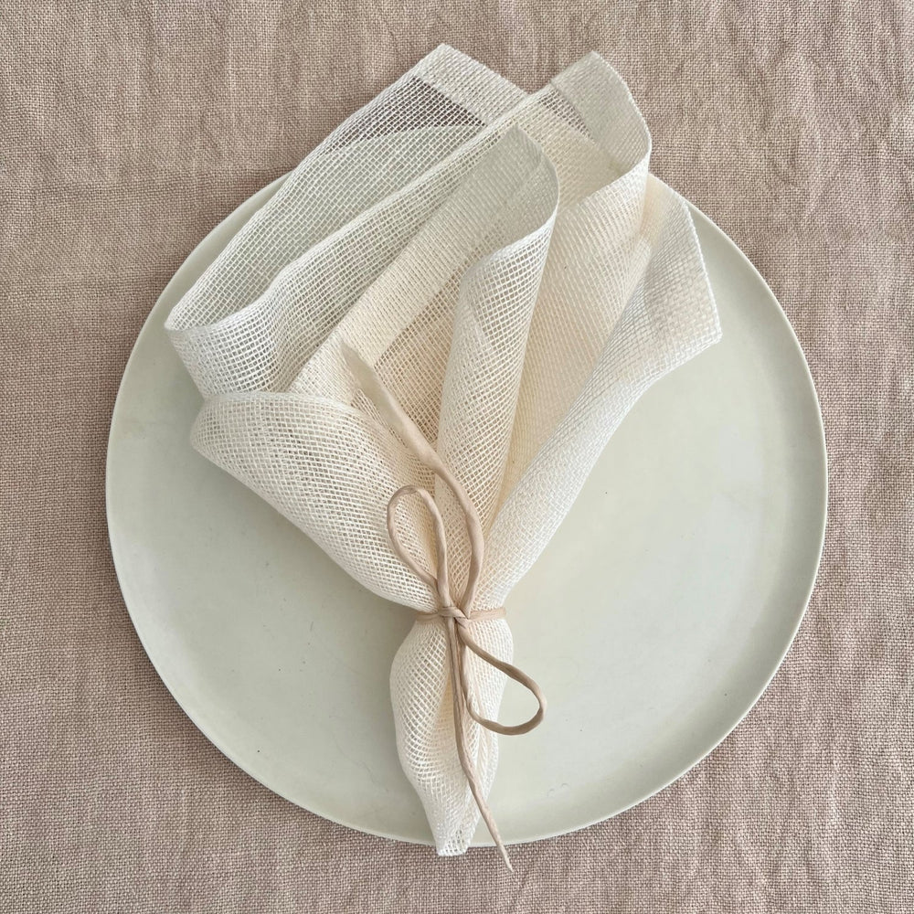 Linen Transparent Napkin