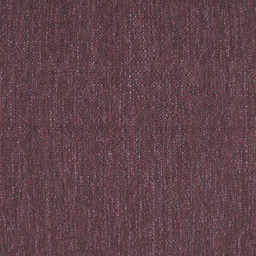 Lolly Plum