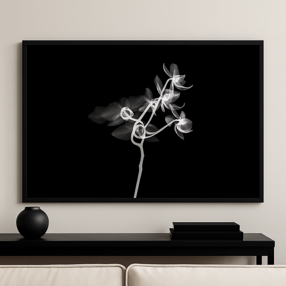 Orchid in Shadow