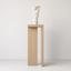 Plinto Plinth