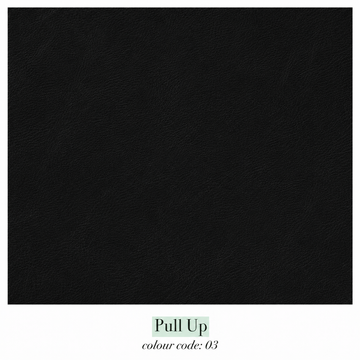 Pull Up 03 - Leather Cat. D