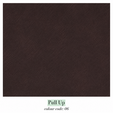 Pull Up 03 - Leather Cat. D