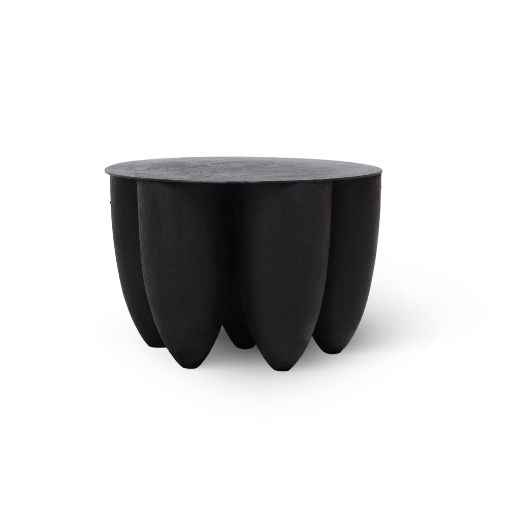 Senufo Coffee Table