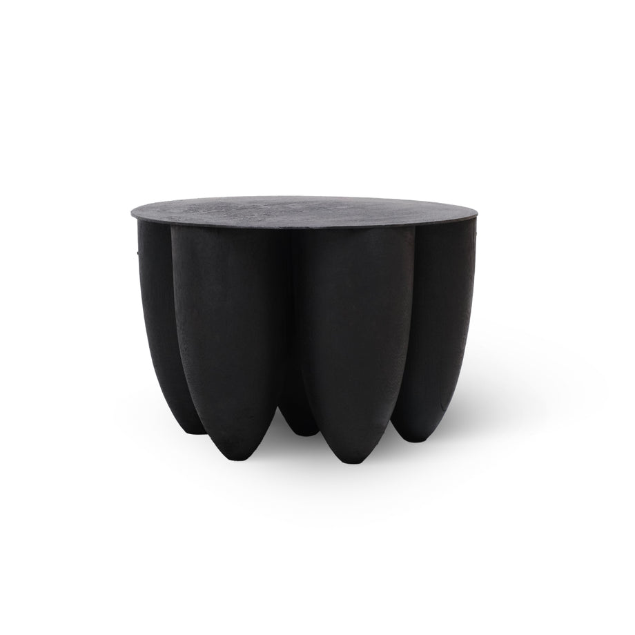 Senufo Coffee Table