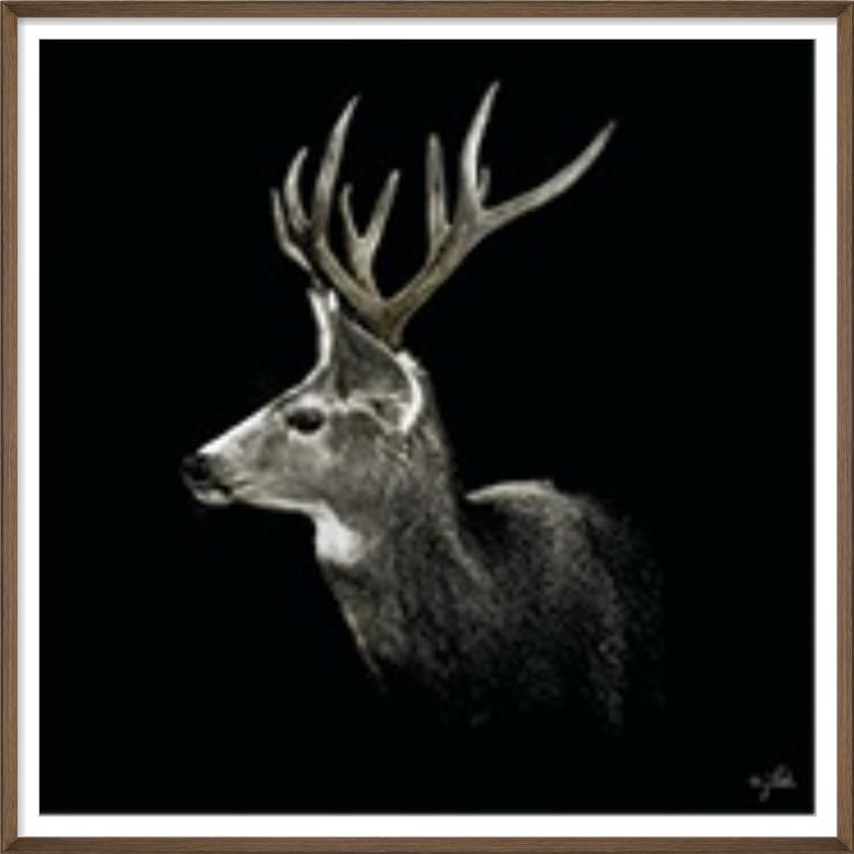 Stag in Silence