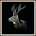Stag in Silence