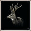 Stag in Silence
