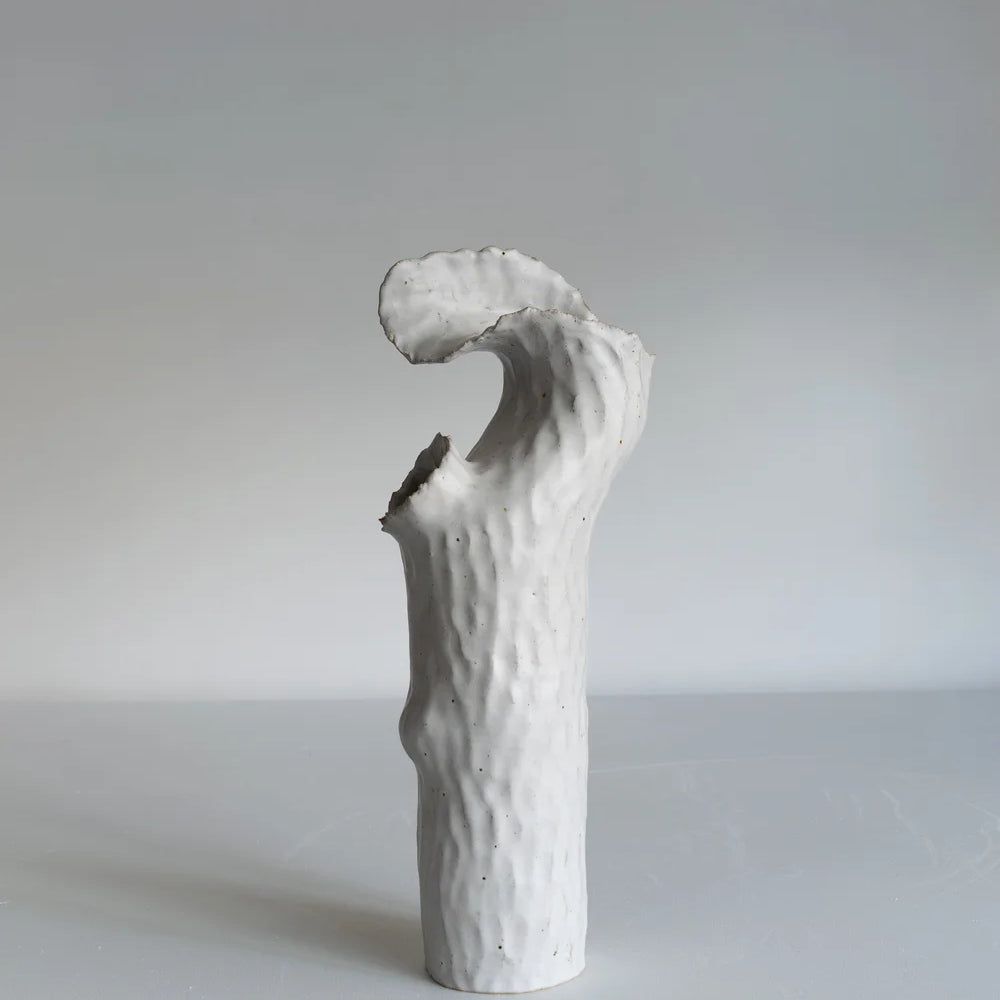 Torn Onishi Vase