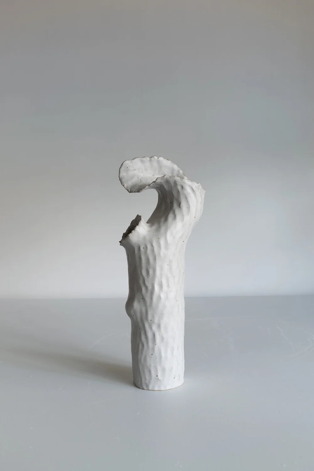 Torn Onishi Vase
