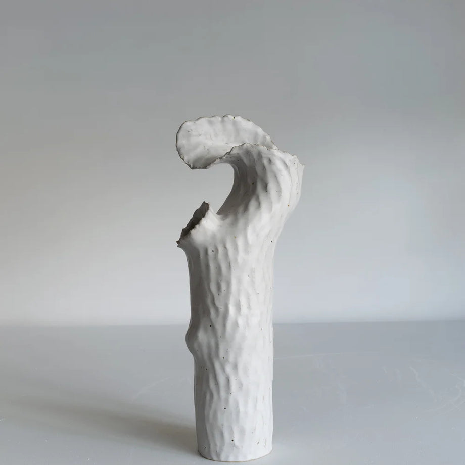 Torn Onishi Vase