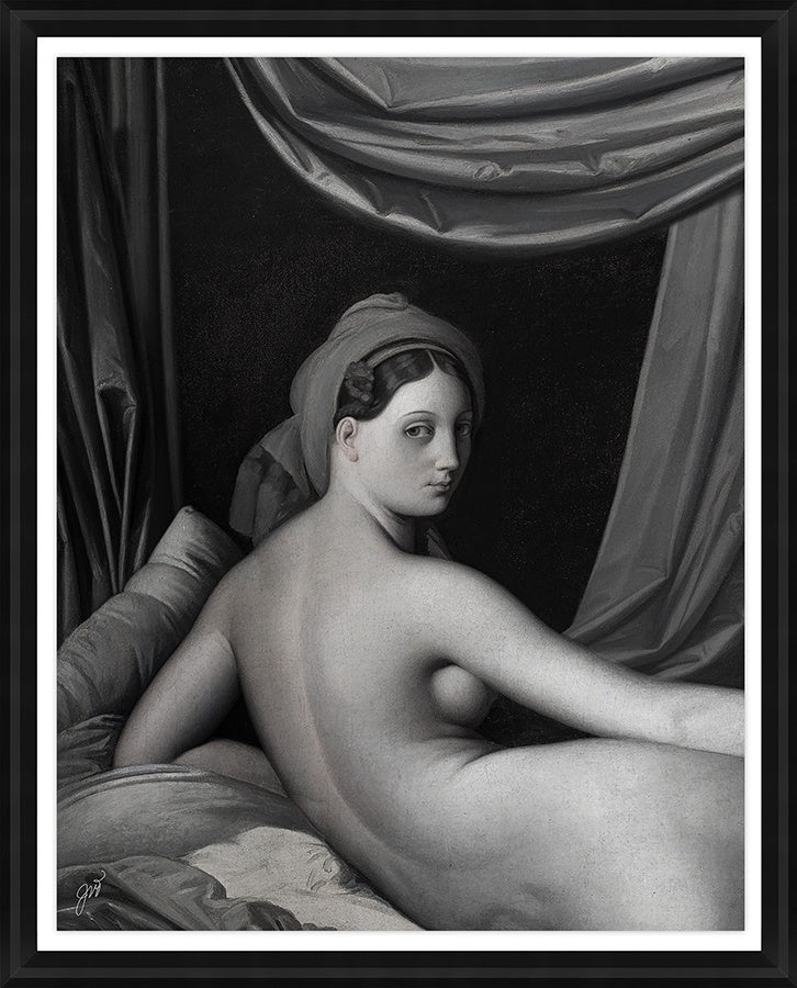 Venus Noir