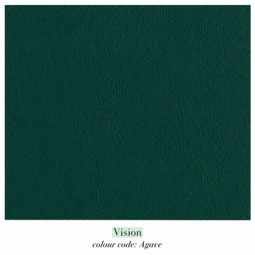 Vision  Agave - Leather Cat. D