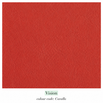 Vision Corallo - Leather Cat. D