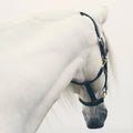 White Horse Bowing