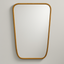 Biomorphic Mirror