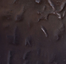 Table 10