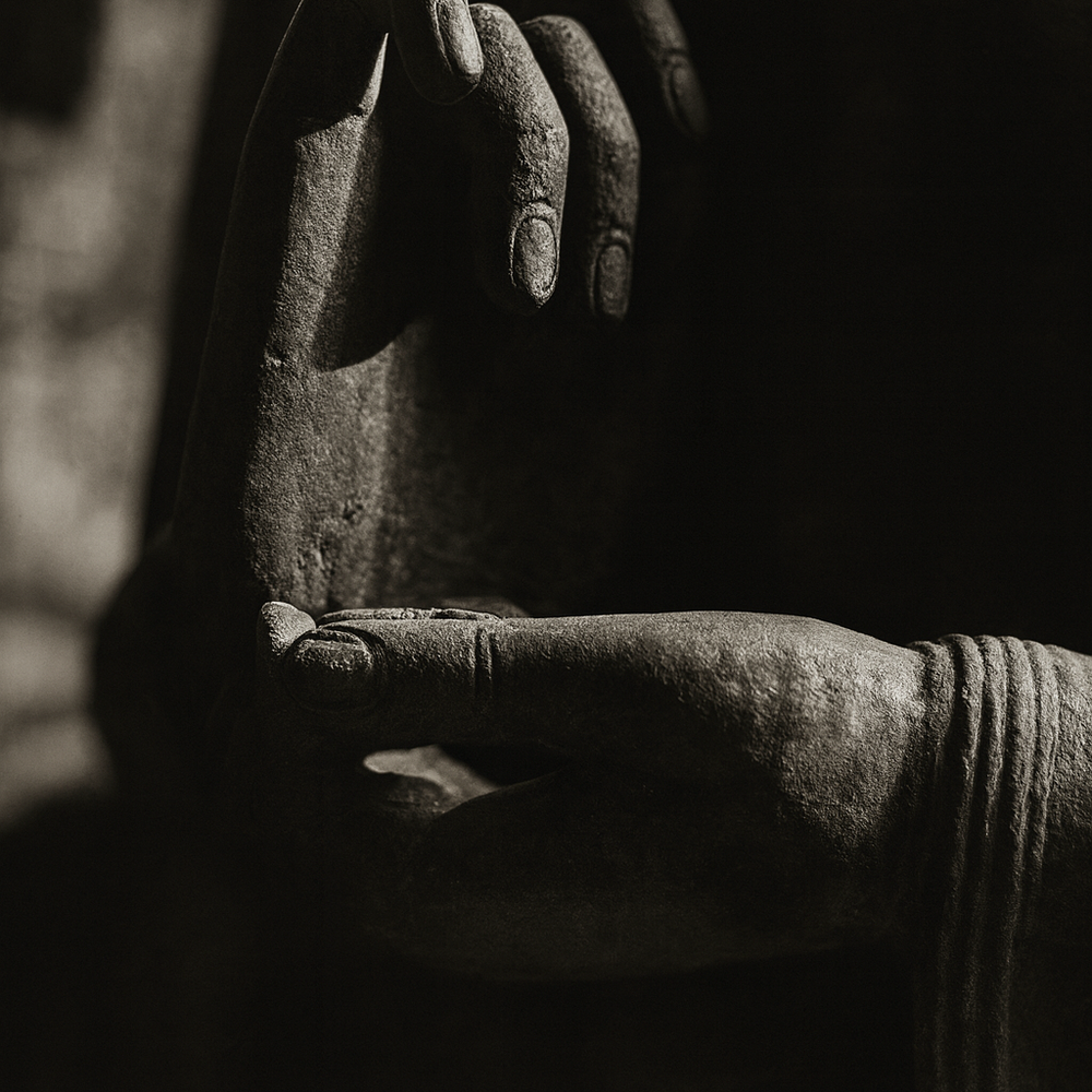 Buddha's Hand, Bali, Indonesia 2008