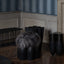 Senufo Ottoman Black