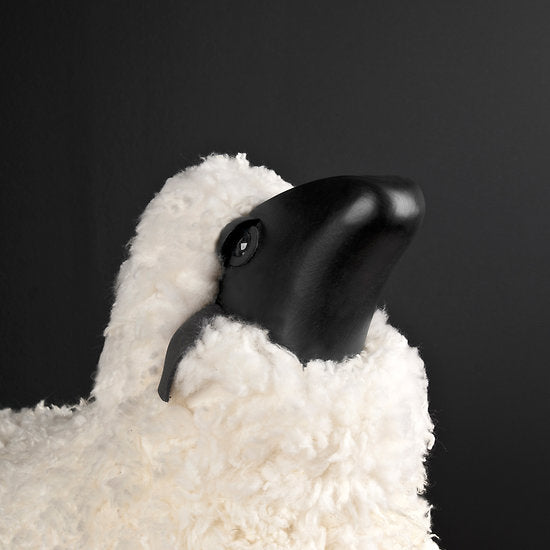 The Sheep Stool, Curly Hair White