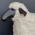 The Sheep Stool, Curly Hair White