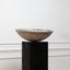 Willy Guhl Saucer Planter I