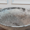 Willy Guhl Saucer Planter II