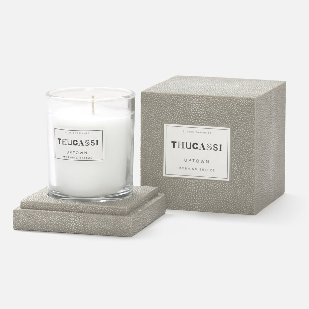 Uptown Candle, 8oz w/ Faux Shagreen Box & Tray