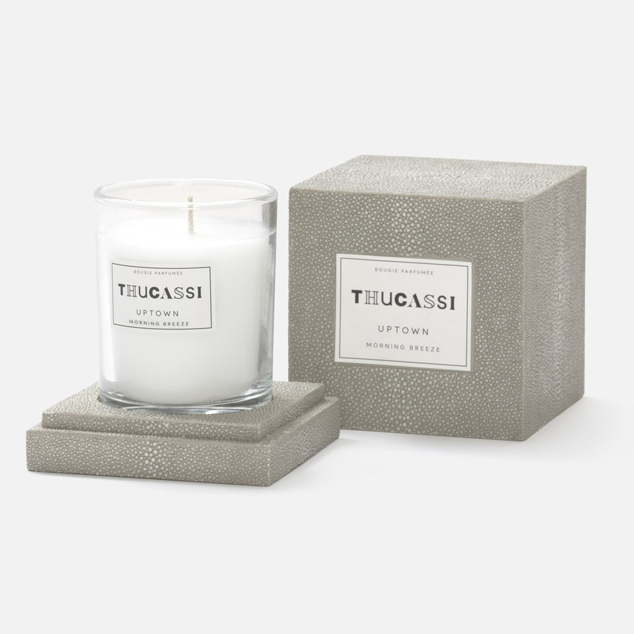Uptown Candle, 8oz w/ Faux Shagreen Box & Tray