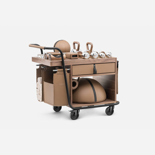 Sophia Mobile Gym Kit, Light