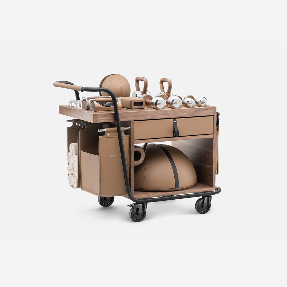 Sophia Mobile Gym Kit, Light