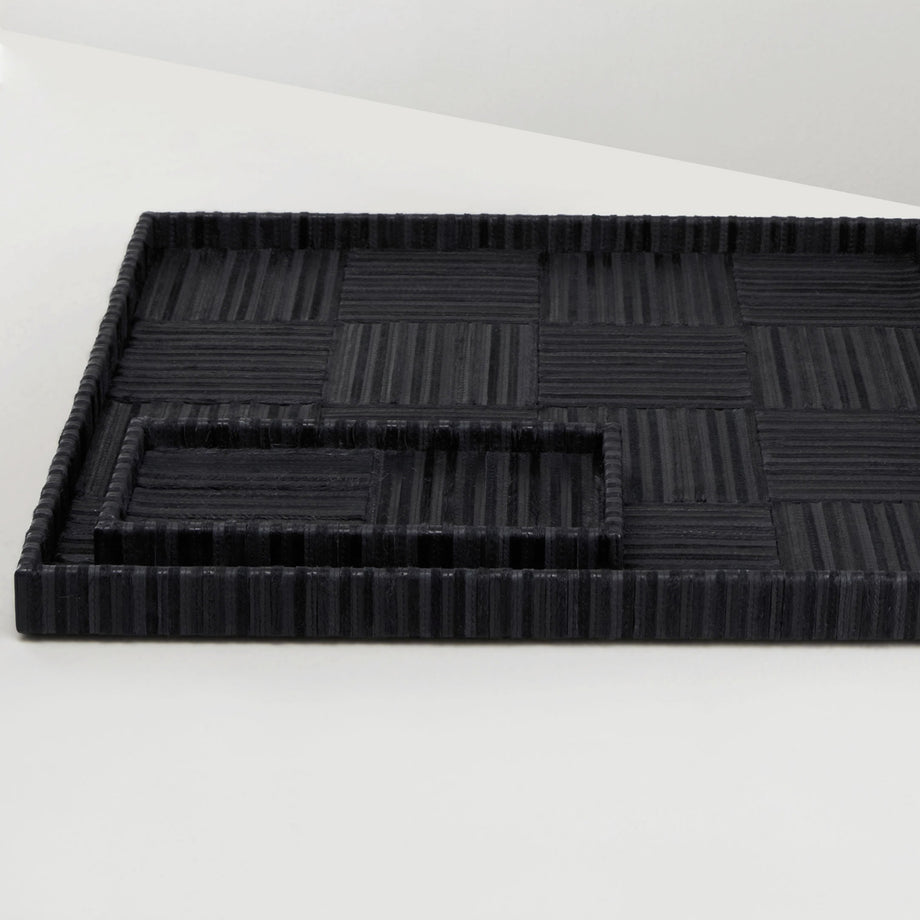 Stipp Tray